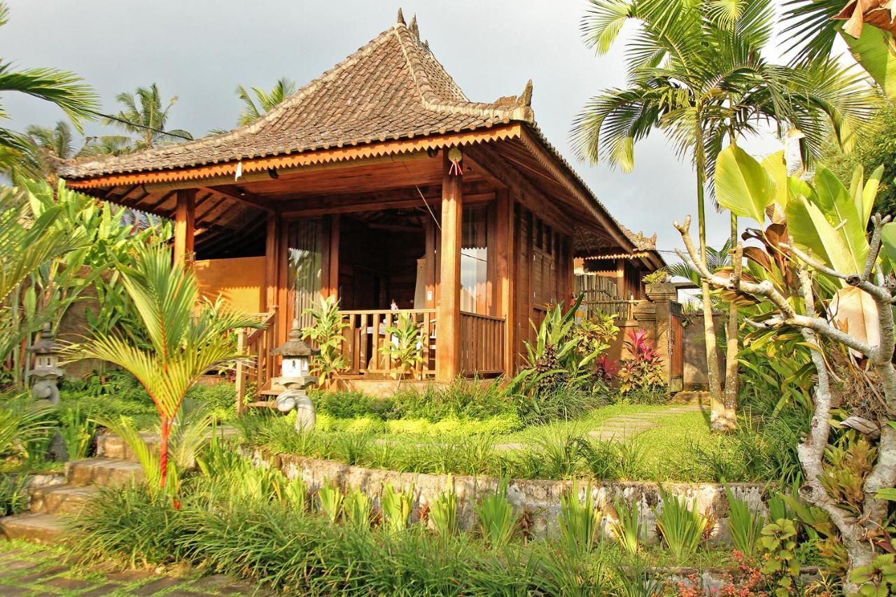 Vinarya Villa أوبود المظهر الخارجي الصورة